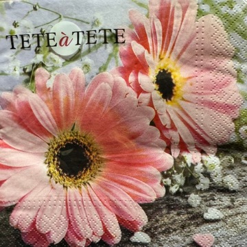 serwetki Tete 1kpl-20szt kwiaty gerbera