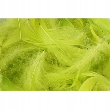 ХУДОЖЕСТВЕННЫЕ ИЗДЕЛИЯ ДЕКОРАТИВНЫЕ ПЕРЬЯ КАЛАДА