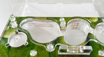 Формикарий с муравьями Antgard House MINI Starter Kit