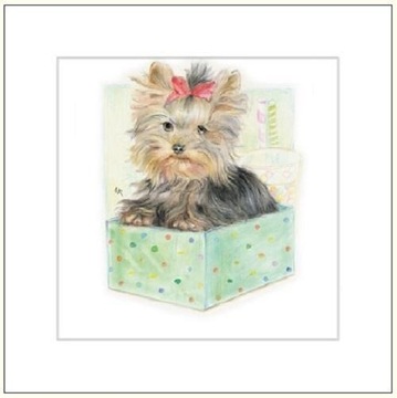 KARNET 16X16 G04 41G 055 + KOPERTA PIES RYSOWANY