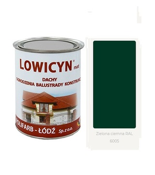 LOWICYN 10l dach ocynk ZIELONY CIEMNY RAL6005 Mat