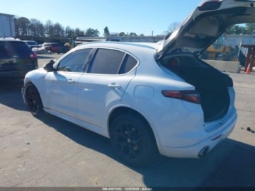 Alfa Romeo Stelvio SUV Facelifting 2.0 Turbo 280KM 2020 Alfa Romeo Stelvio Ti 2020 2.0 Benzyna 280KM, zdjęcie 3