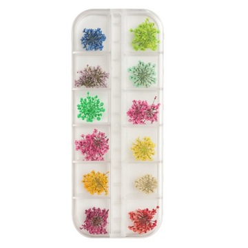 Suszone Kwiaty Do Paznokci Ozdoby Paznokcie Hybrydy Sztuczne Kwiatki