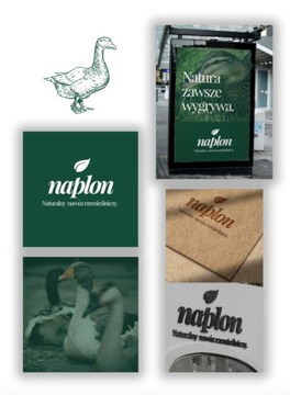 Логотип, брендинг, визуальная идентификация, логотип