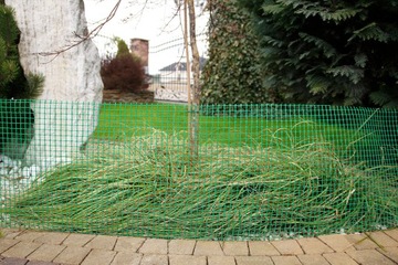 SIATKA PLASTIKOWA rabatowa RABATKOWA OGRODZENIOWA ZIELONA PCV 0,6x10m 60cm