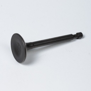 ZAWÓR WYDECHOWY LS56-196-JR