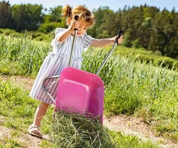 Тачка 770 мм 600270859 Rolly Toys