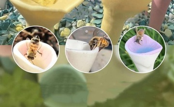 КРУЖКИ ДЛЯ ПИТЬЯ ИЗ СМОЛЫ, 5 ШТ.