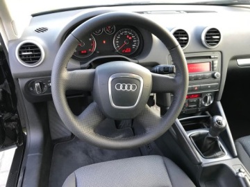 Audi A3 8P Hatchback 3d 1.6 102KM 2009 Audi A3 1.6 MPI 102 KM, zdjęcie 13
