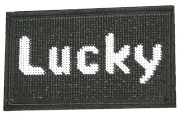 NASZYWKA Aplikacja Łatka termo NAPIS LUCKY cekiny