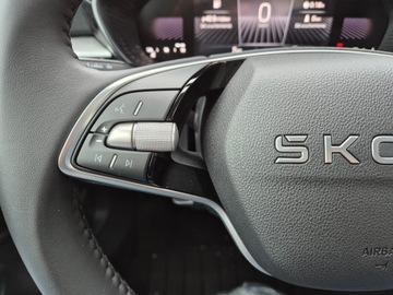 Skoda Fabia IV 1.0 TSI 95KM 2025 Skoda Fabia Edition 130 1.0 TSI Auto z placu, zdjęcie 29