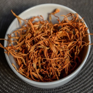 Мицелий Cordyceps militaris, готовый субстрат для выращивания.