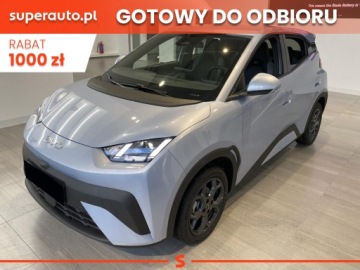 BYD 2025 BYD Dolphin Surf Boost Hatchback (88 KM) 2025