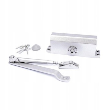SAMOZAMYKACZ DRZWI TS-10 30-60KG 1100MM SREBRNY