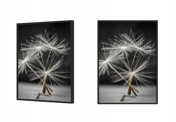 КАРТИНА, ПОСТЕР В РАМКЕ 53х73 см Одуванчик П521