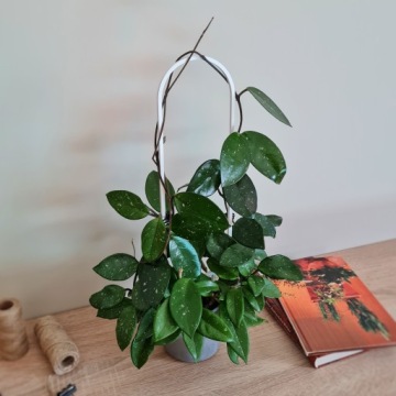 КАРПЕТ ДЛЯ ЦВЕТОВ ПЕРГОЛА ОВАЛЬНЫЙ БЕЛЫЙ 44 см