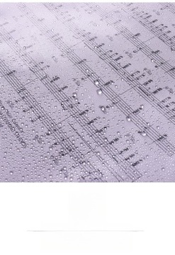 TECZKA DO PRZECHOWYWANIA PAPIERU ORGANIZER MUZYCZNY UCHWYT NA ARKUSZE A4