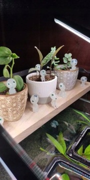 FIGURKI DONICZKOWE KSIĘŻNICZKA MONONOKE KODAMA