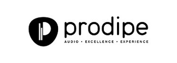 ЭЛЕКТРЕТНЫЙ МИКРОФОН PRODIPE GL21 ДЛЯ ГИТАРЫ/УКУЛЕЛЕ