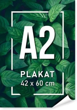 PLAKAT A2 wydruk wysoka jakość 42 x 60 cm