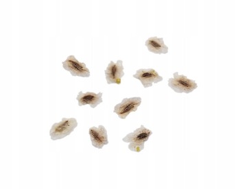 Подарок ко Дню учителя, дерево счастья, лучший учитель.