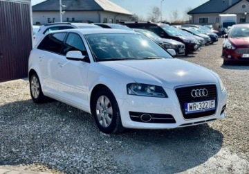 Audi A3 8P Hatchback 3d 1.6 TDI 105KM 2011 Audi A3 Sportback 1.6 TDI 105KM led climatronic 5 drzwi nowe sprzeglo 1.6, zdjęcie 5