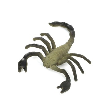 12 разных насекомых летающих червей Животное