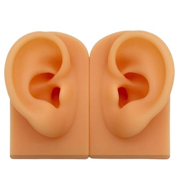 Модель уха Силиконовое искусственное ухо Модель уха