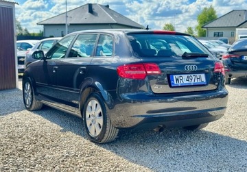 Audi A3 8P Hatchback 3d 1.6 102KM 2008 Audi A3 Sportback 1.6 MPI 102KM skory PDC cliamtronic tempoamt alu grzane, zdjęcie 8