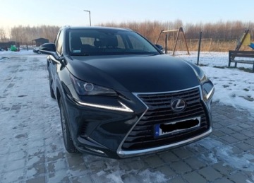 Lexus NX I SUV Facelifting 300h 197KM 2020 Lexus NX 300h Business Edition AWD