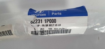 LIŠTA ZHRNUJÍCÍ DVEŘE LEVÝ PŘEDNÍ KIA