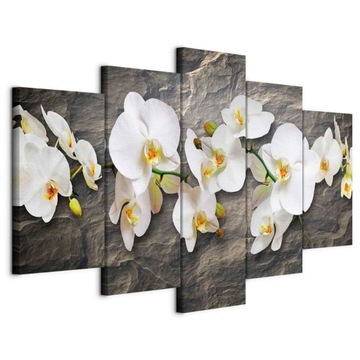 OBRAZ 5 CZĘŚCI DUŻY KWIATY STORCZYKI ORCHIDEA DO SALONU SYPIALNI 200x100