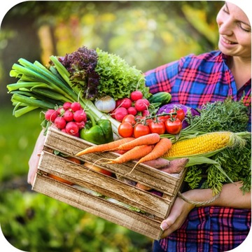 MOSPILAN 20 SP 10G OWADOBÓJCZY DO ROŚLIN JADALNYCH NA SZKODNIKI MSZYCE