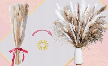 DUŻY BUKIET PAMPASOWY SUSZONY TRAWA PAMPASOWA DMUSZEK DO WAZONU BOHO