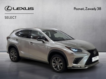 Lexus NX I 2020 Lexus NX 300 GPF F Sport Edition AWD I (2014-2021), zdjęcie 7
