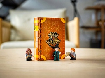 LEGO Harry Potter 76382 Моменты Хогвартса: урок трансфигурации