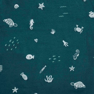 Спальный мешок ergoPouch Swaddle 6-12M 1.0TOG Ocean