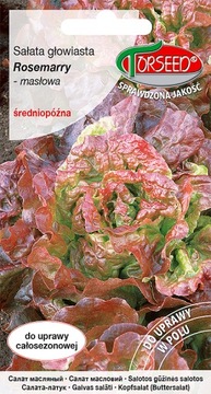 Sałata głowiasta masłowa Rosemarry 2g nasiona