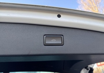 Volkswagen Tiguan II SUV 1.5 TSI EVO 130KM 2019 Volkswagen Tiguan 1.5 Benzyna 130KM, zdjęcie 21