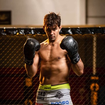 БОКСЕРСКИЕ ПЕРЧАТКИ ДЛЯ ТРЕНИРОВОЧНЫХ БОКСЕРСКИХ ПЕРЧАТОК DBX BUSHIDO 10 унций