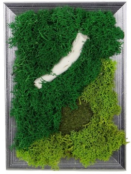 ŻYWY OBRAZ mech CHROBOTEK DUO naturalny 12/17cm