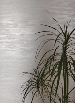 Структурная штукатурка MIRAL, комплект 15 м2, цвет ЖЕМЧУЖНЫЙ «ЭФФЕКТ МЕТАЛЛИК»