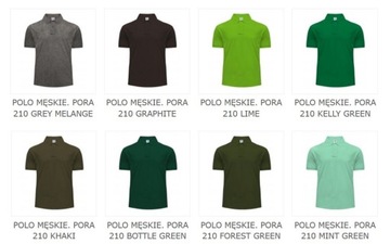 Polo firmowe koszulka męska LOGO HAFT NADRUK 2szt