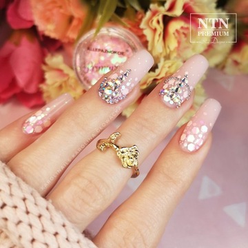 PRIMAVERA EFFECT №1 пудра для эффекта ногтей принцессы