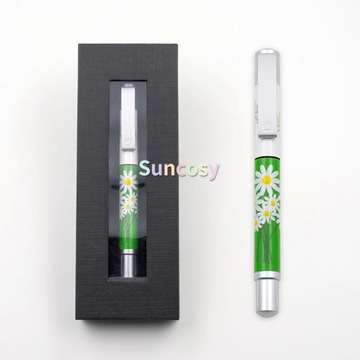 Stabilo 5050 Students Practice Calligraphy Fountain Pen, Stereo Printing