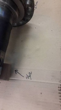 CZOP PIASTA KOŁA ATLAS I INNE 36 ZĘBÓW