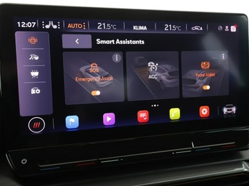 Cupra Formentor 2021 Cupra Formentor 4x4 DSG full LED półskóra, zdjęcie 28