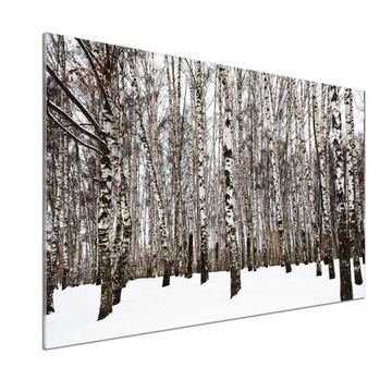 Panel dekor szkło Brzozy zimą 100x70 cm + KLEJ