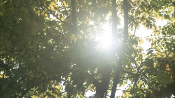 NiSi фильтр черного тумана 1/8 72 мм