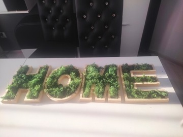 HOME надпись из мха moss MOSS